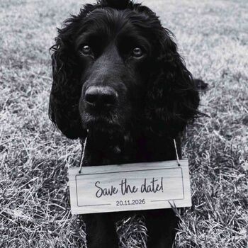 Custom Wooden Personalised Signs, 4 of 8