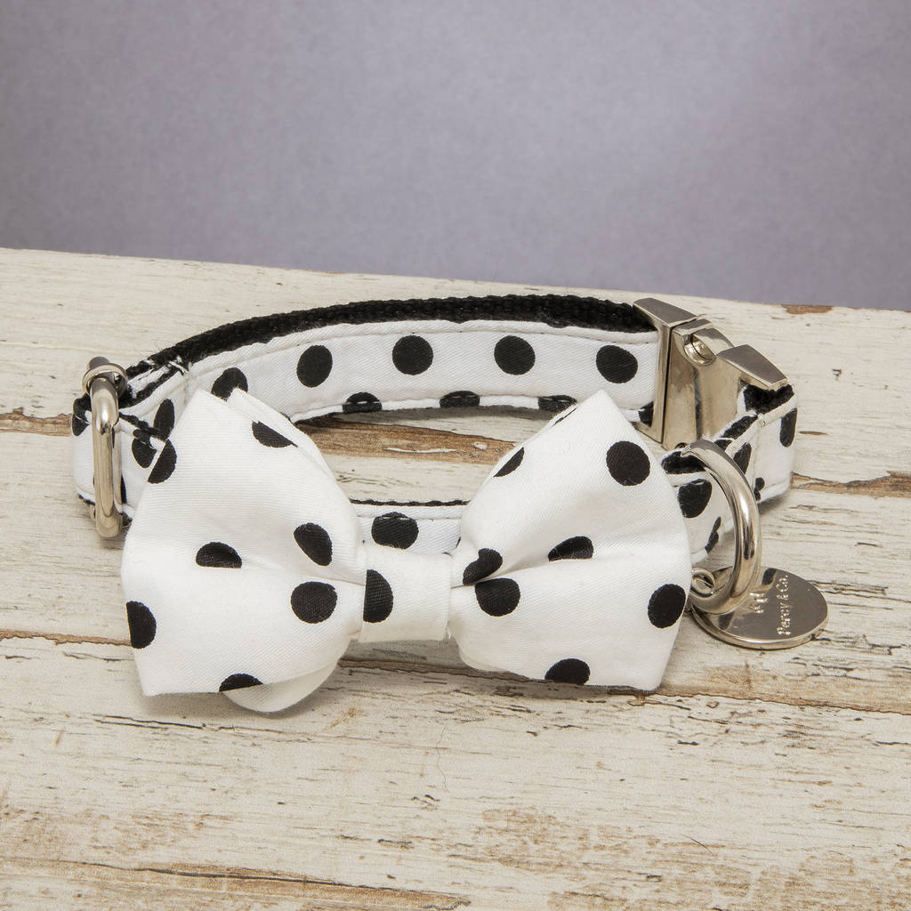 The Mayfair Black And White Spotty Dog Collar Bow Tie By Percy and Co.