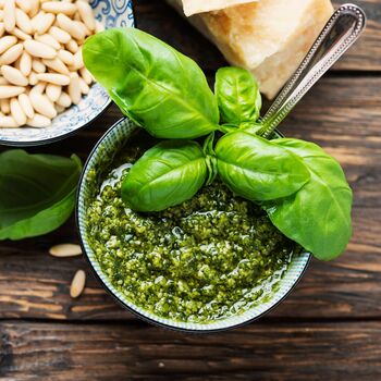 Herb Plants Basil 'Sweet Genovese' Nine X Plug Pack, 4 of 5