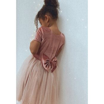 Pink Velvet Soft Tulle Dress, 6 of 10