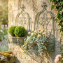 Set Of Two Montagnana Wall Planters, thumbnail 1 of 2