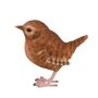 Lifelike Winter Wren Bird Ornament – Indoor Outdoor, thumbnail 4 of 9