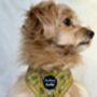 Wild Giraffe Dog Harness With Optional Set, thumbnail 12 of 12