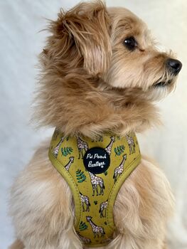 Wild Giraffe Dog Harness With Optional Set, 12 of 12