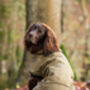 Tweed Dog Coat, thumbnail 2 of 5