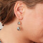 Grey Labradorite Double Gemstone Dangle Earrings, thumbnail 1 of 12