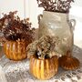 Pumpkin Pots Ochre Set Of Two, thumbnail 3 of 6