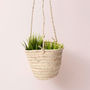 Natural Woven Hanging Planter Basket, thumbnail 4 of 4