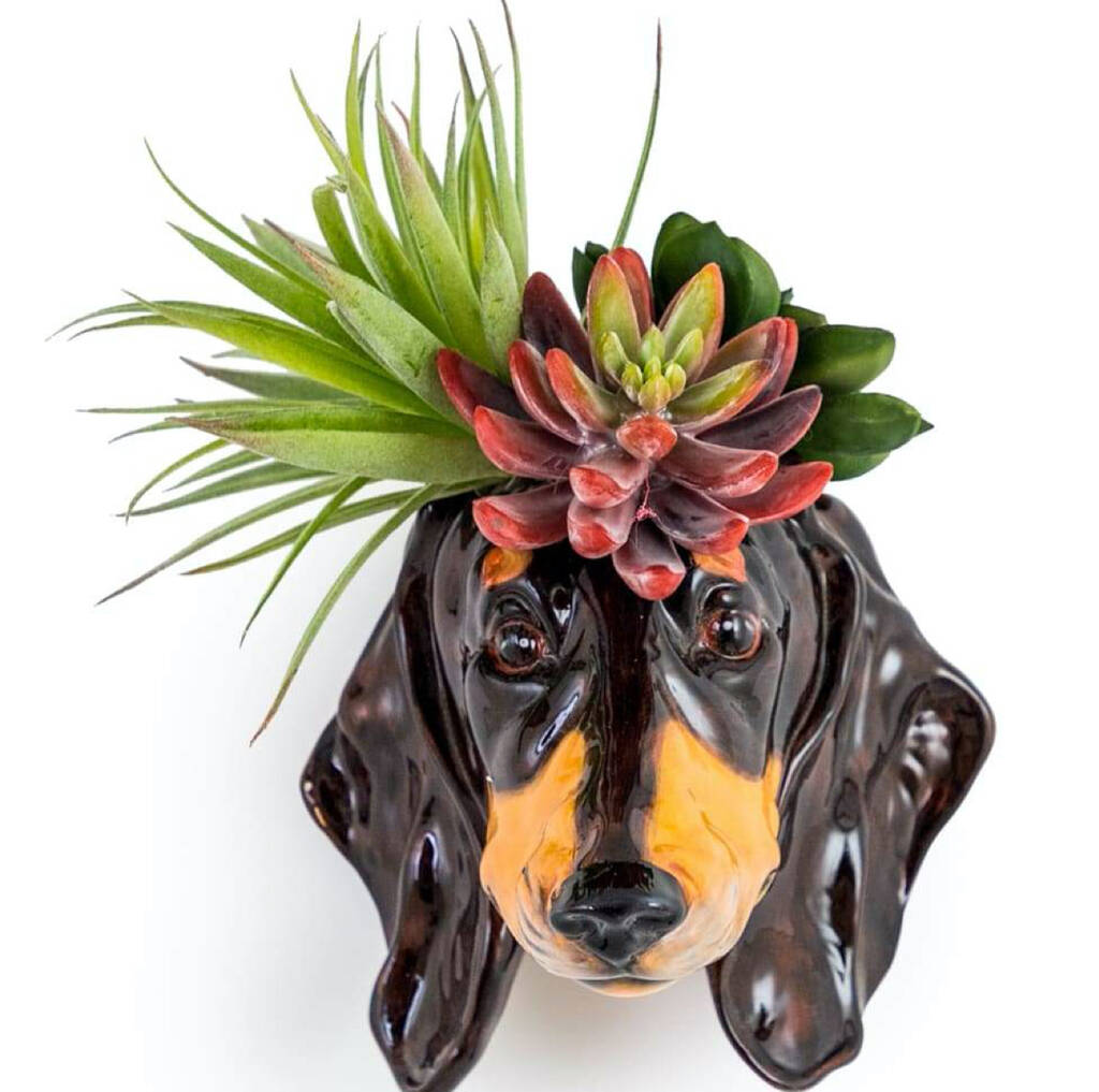 dachshund vase