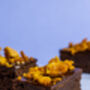 Honeycomb Crunch Brownie Bars, thumbnail 2 of 5