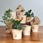 Floral Birthstone Colour Ceramic Handmade Plant Pot, thumbnail 1 of 9