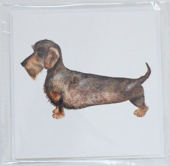 Wire Haired Dachshund Greetings Card, 2 of 2