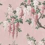 Wisteria Pink Bloom Wallpaper, thumbnail 3 of 4