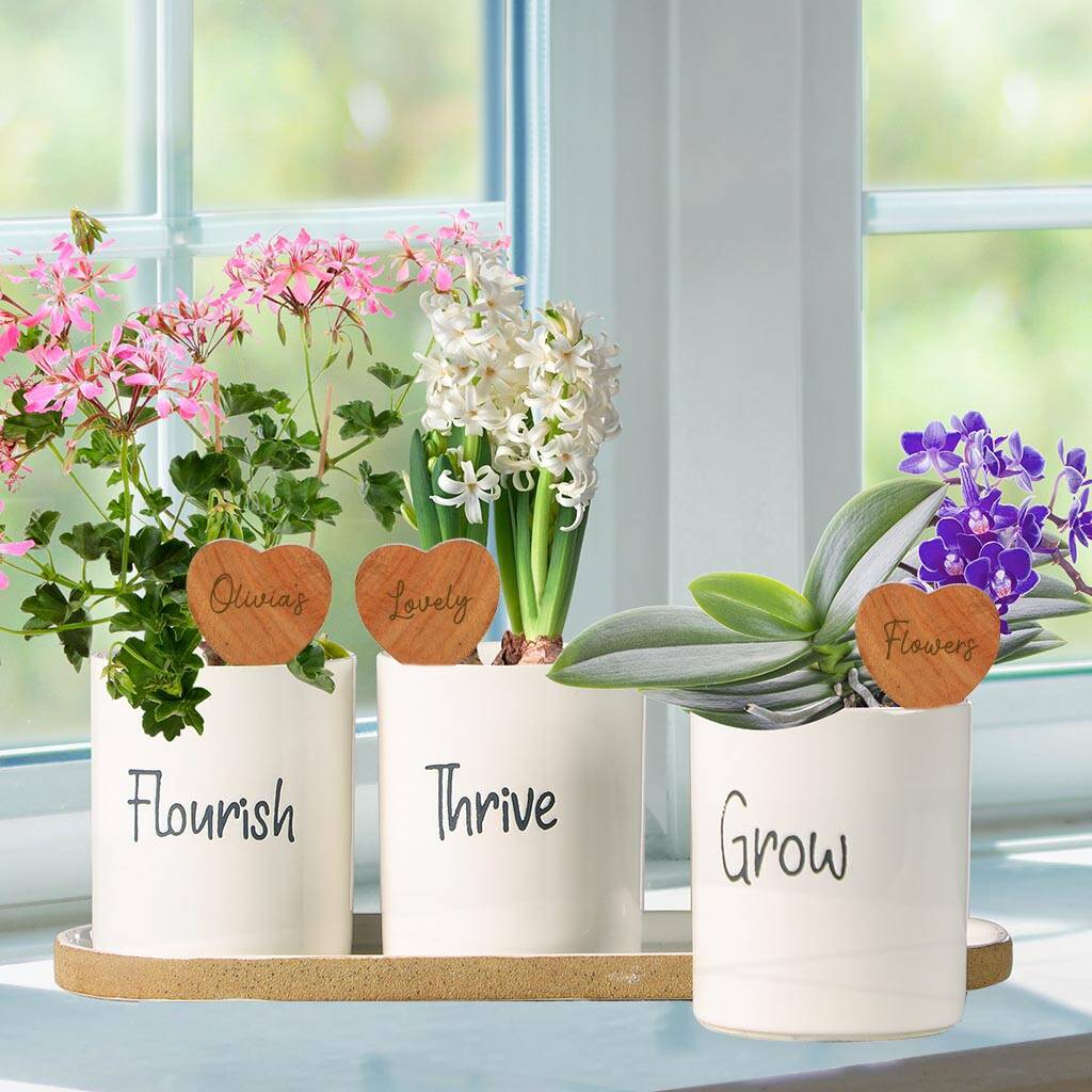 Personalised Three Ceramic Flower Planters By Dibor