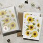 Sunflower Note Cards And Envelopes, thumbnail 2 of 7