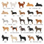 Personalised Mother's Dog Breed Card Sent Direct, thumbnail 7 of 12