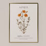 Birth Flower Wall Print 'Daisy' For April, thumbnail 1 of 9