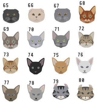 Personalised Cat Breed Photo Keyring, 10 of 12