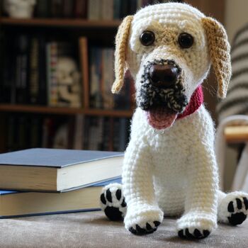 Personalised Crocheted 'Keepsake' Toy Of Your Pet, 7 of 12