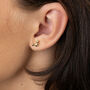 Star Cluster Stud Earrings, Silver Or Gold Plated, thumbnail 3 of 8
