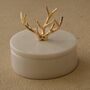 Handmade White Marble Box With Brass Horn Lid, thumbnail 1 of 2
