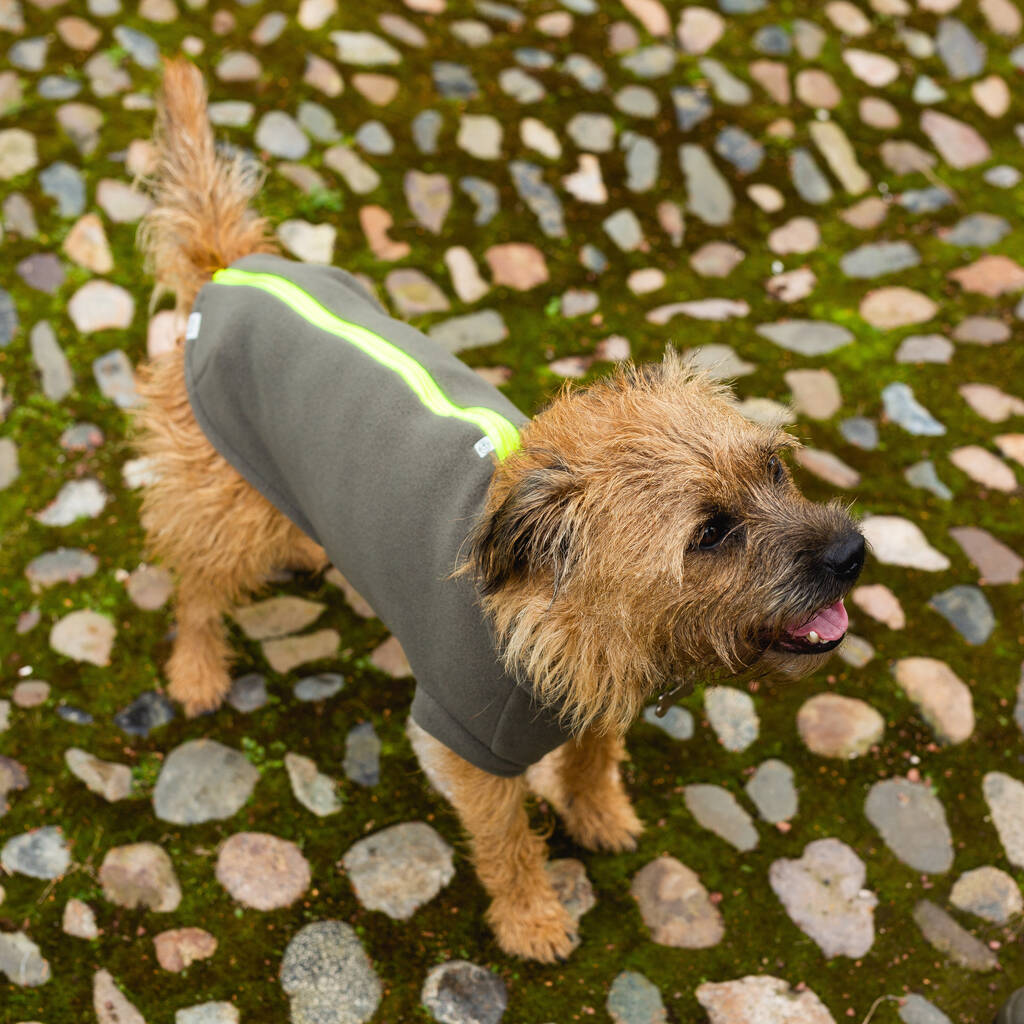 Large Terrier Polartec Water Resistant Dog Coat, 1 of 8