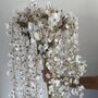 White And Gold Wisteria Spray, thumbnail 4 of 5