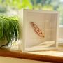 Kitchen Wall Decor: Borlotti Bean Pod Wall Art, thumbnail 2 of 3