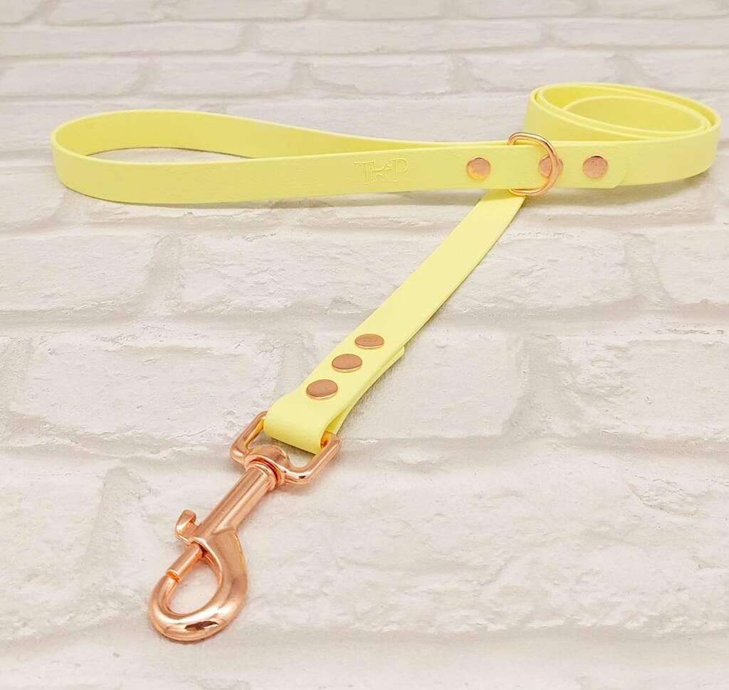 Waterproof Dog Collar And Lead Set Sherbet Lemon Rg By Trinkety Paws