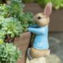 Peter Rabbit Pot Hanger, thumbnail 1 of 5