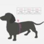 Neoprene Padded Hearts Dog Harness, thumbnail 6 of 6