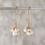 Pearl Cluster Earrings In Rose Gold Fill, thumbnail 1 of 3
