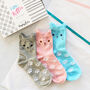 Cute Kitten Box Of Socks, thumbnail 1 of 5