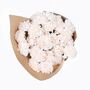 Creme Carnations Fresh Flower Bouquet, thumbnail 2 of 3