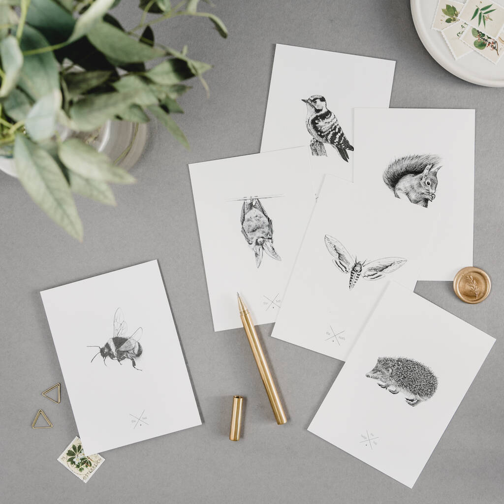 Assorted Postcards Set Of Six By Creature Candy