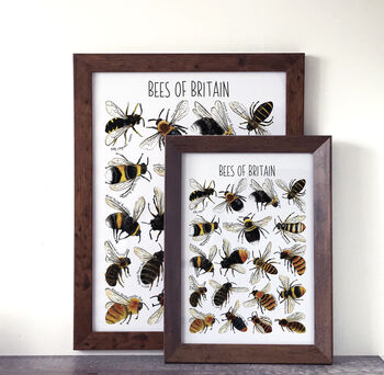 Bees Of Britain Wildlife Watercolour Print, 6 of 6