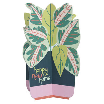 3D Fold Out 'Happy New Home' Plant Card, 3 of 3