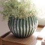 Large Green Ribbed Ceramic Vase, thumbnail 1 of 4