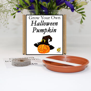 Halloween Gift. Grow Your Own Halloween Pumpkin Kit, 2 of 6