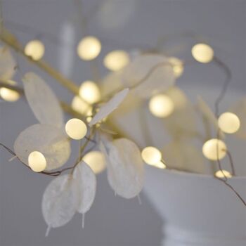 Opaque Teardrop Wire String Fairy Lights, 2 of 3