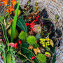 Autumnal Fresh Wreath, thumbnail 2 of 5