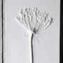 Queen Anne's Lace No.Three Plaster Cast Plaque, thumbnail 4 of 7