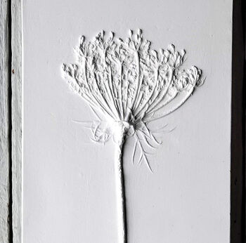 Queen Anne's Lace No.Three Plaster Cast Plaque, 4 of 7