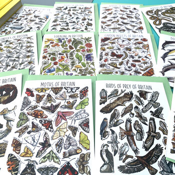 Wildlife Of Britain Greeting Cards Pack Volume Three, 4 of 10