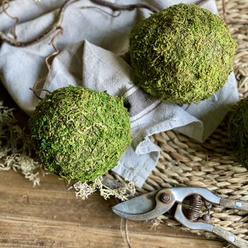 Dried Moss Spheres || Balls, 6 of 9