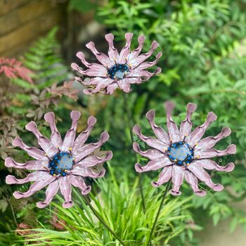 Set Of Three African Daisy Garden Stakes Art122, 2 of 6
