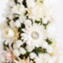 Flower Dome – Christmas Tree ‘White Christmas’, thumbnail 4 of 5