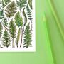 Ferns Of Britain Watercolour Postcard, thumbnail 8 of 9