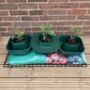Three Thirsty Tomato Grow Bag Pots Watering Aid Kit, thumbnail 3 of 11