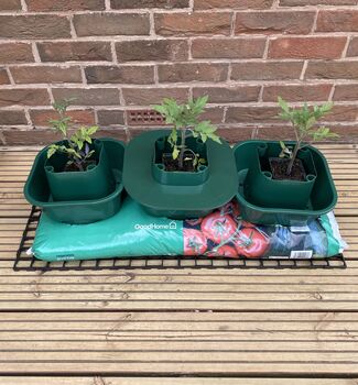 Three Thirsty Tomato Grow Bag Pots Watering Aid Kit, 3 of 11